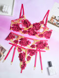 women lingerie set with garter belt