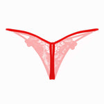 net panty transparent 