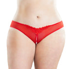 women sexy thong panties